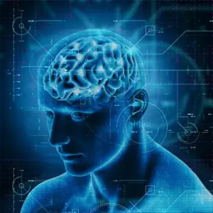 Web Article_ Selank Administration Affects the Expression of Some Genes Involved in GABAergic Neurotransmission_ Social
